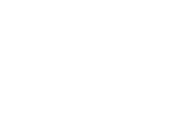 Adidas White