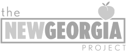 new-georgia-project